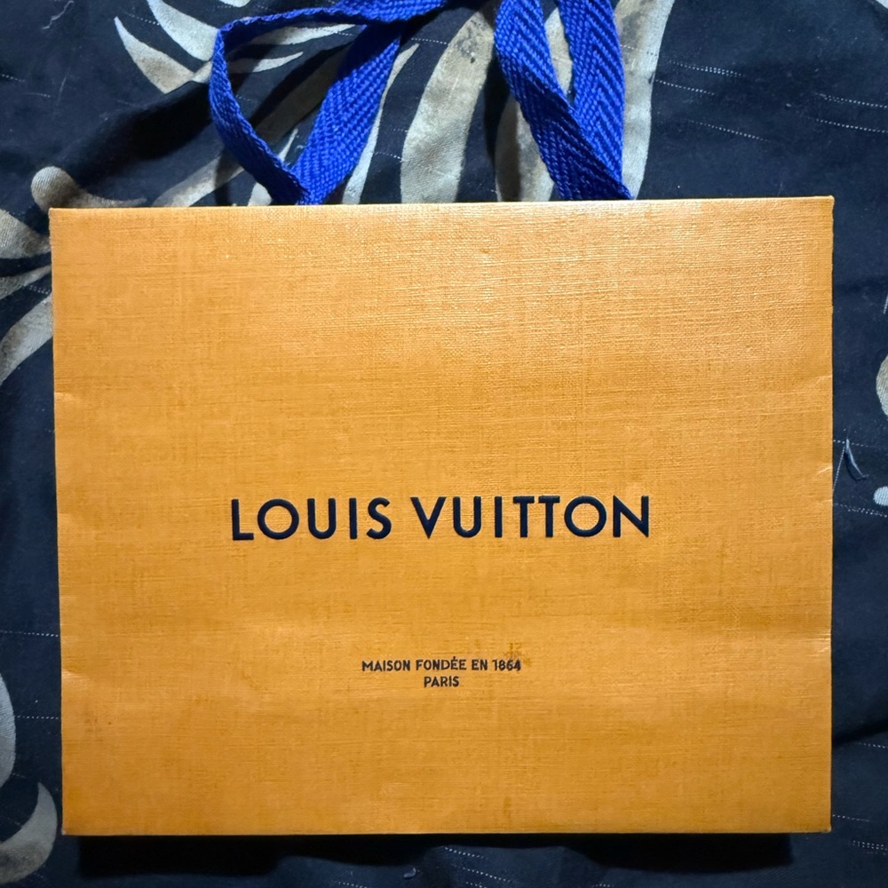 Louis Vuitton Gift Bag